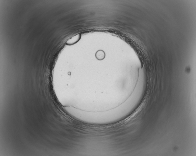 X0000116311161201001111132