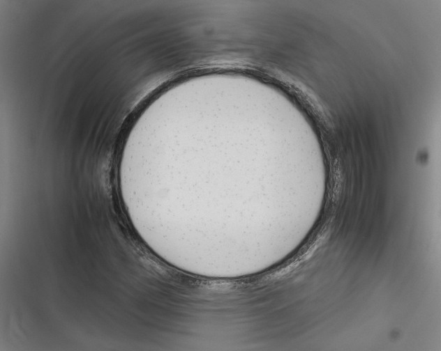 X0000116311162201001111132