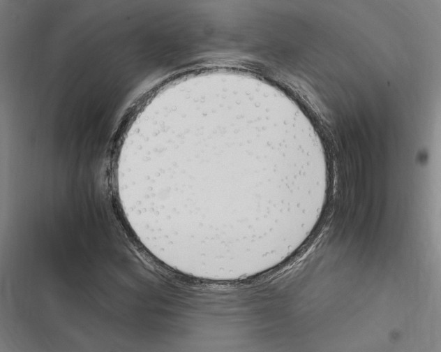 X0000116311164201001111132