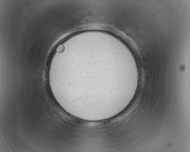 X0000116311166201001111132