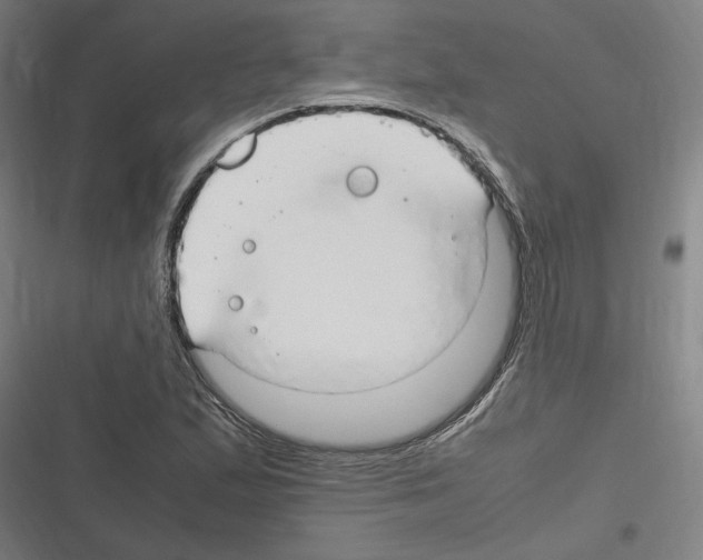 X0000116311167201001111132