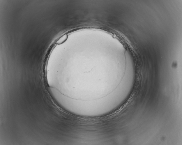 X0000116311168201001111132