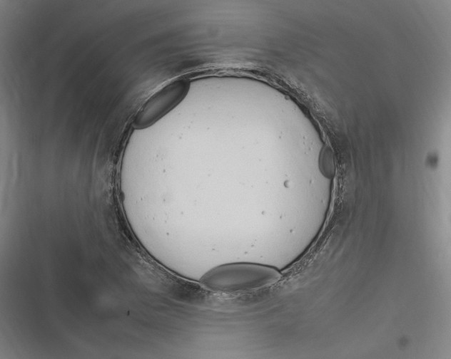 X0000116311169201001111132