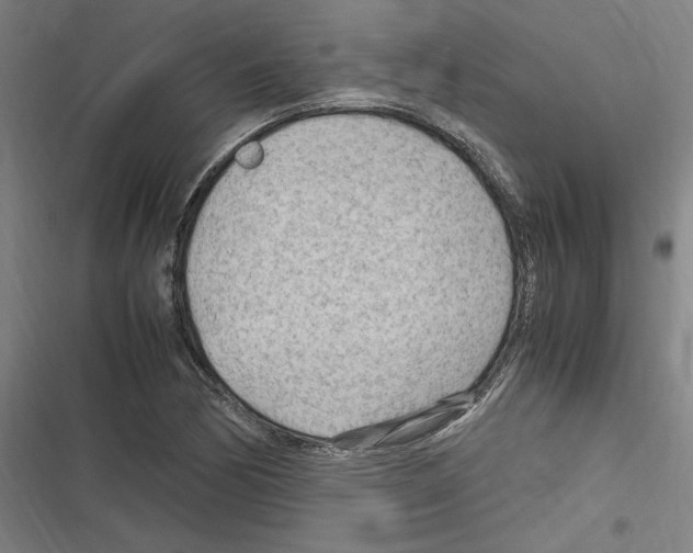 X0000116311170201001111132