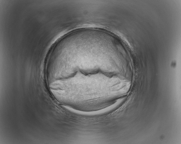 X0000116311173201001111132