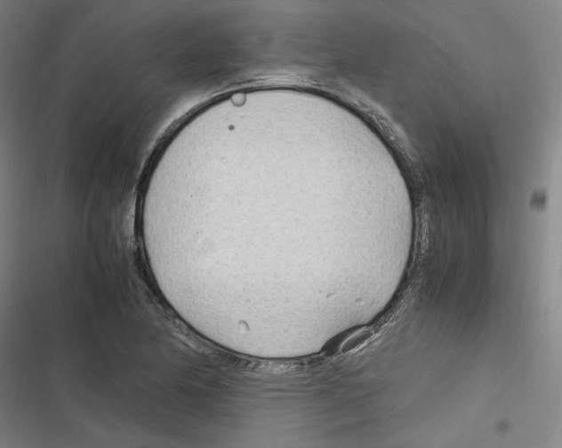 X0000116311174201001111132