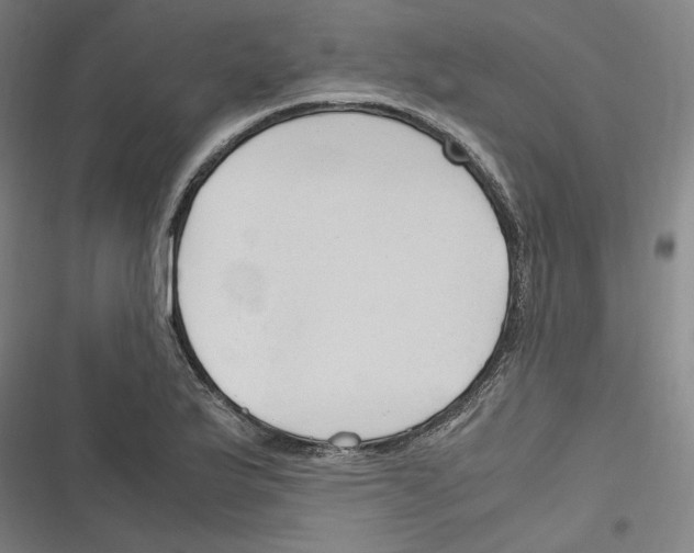 X0000116311175201001111132