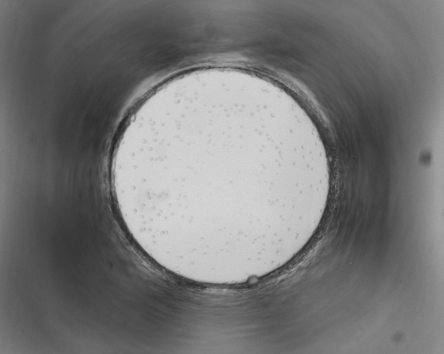 X0000116311176201001111132