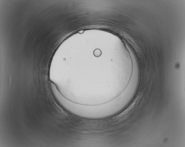 X0000116311177201001111132