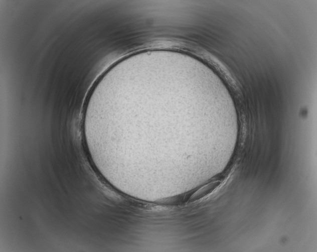 X0000116311178201001111132