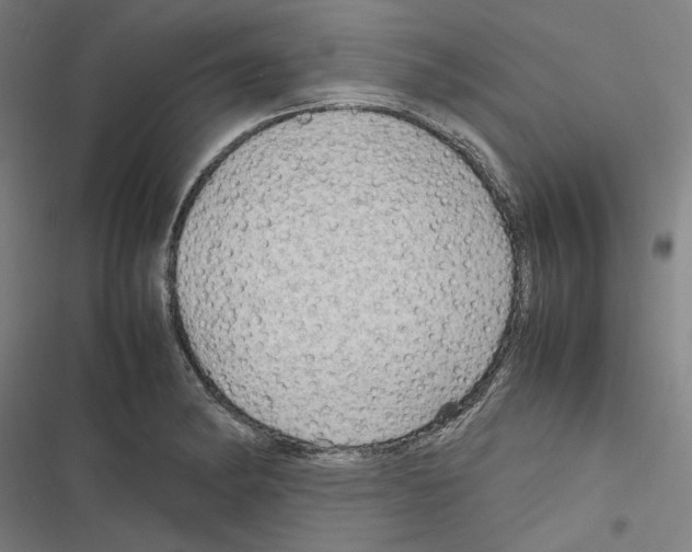 X0000116311182201001111132