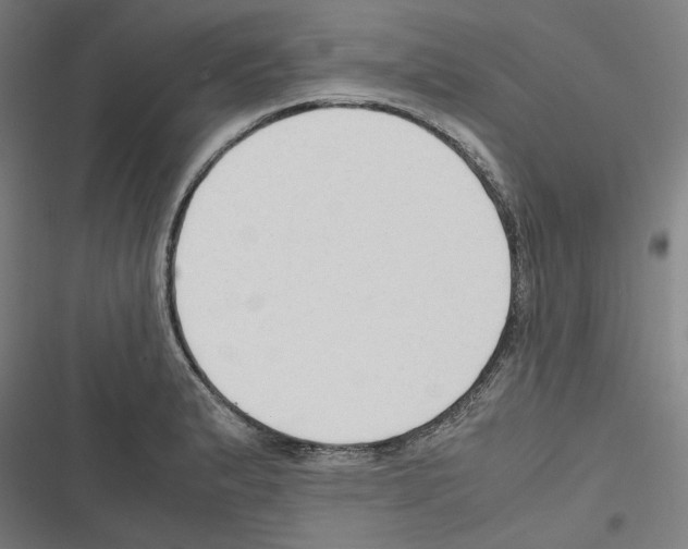 X0000116311183201001111132