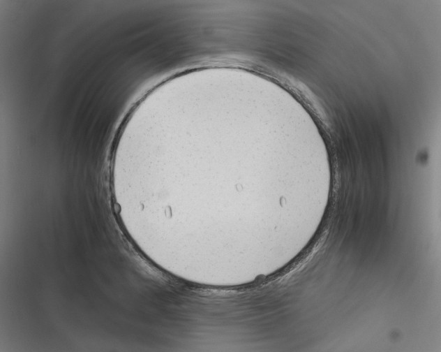 X0000116311184201001111132