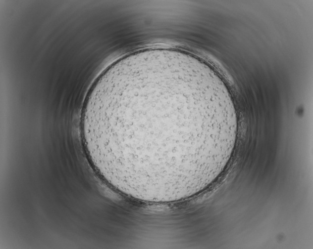 X0000116311186201001111132