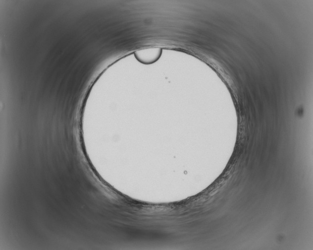 X0000116311187201001111132