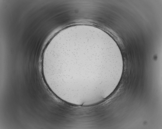 X0000116311188201001111132