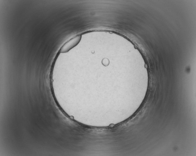 X0000116311189201001111132