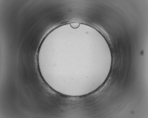 X0000116311190201001111132