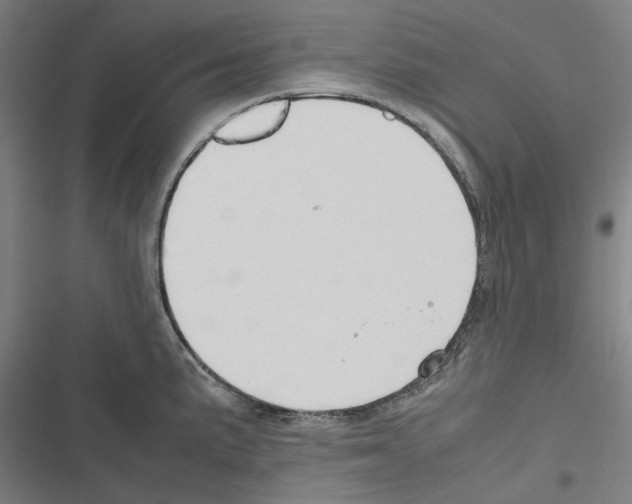 X0000116311191201001111132