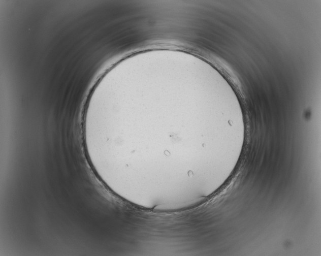 X0000116311192201001111132