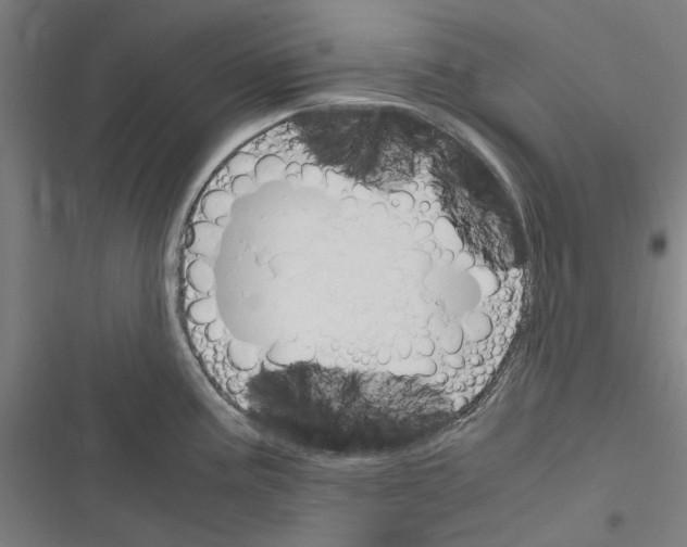 X0000116311195201001111132