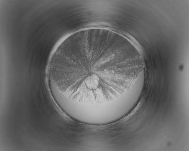 X0000116311196201001111132