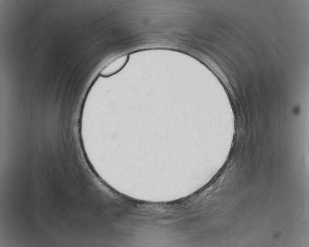 X0000116311197201001111132