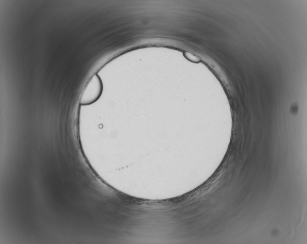 X0000116311199201001111132