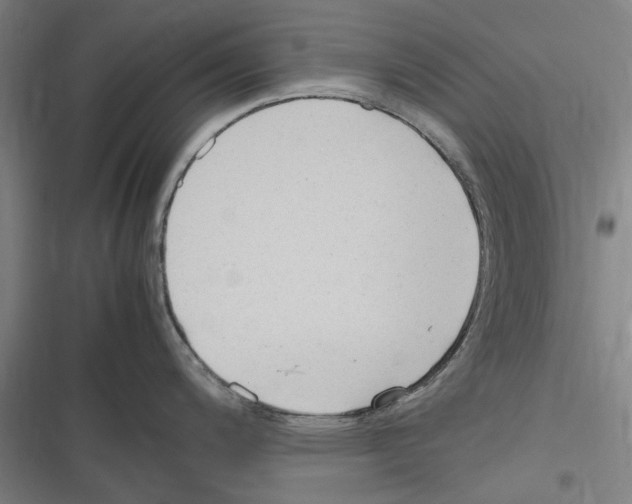 X0000116311200201001111132