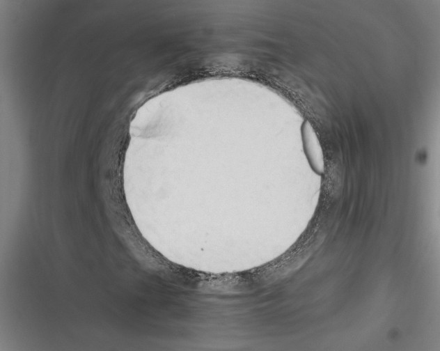 X0000116311201201001111131