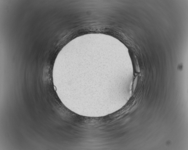 X0000116311202201001111131