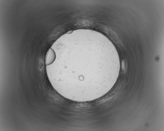 X0000116311203201001111131