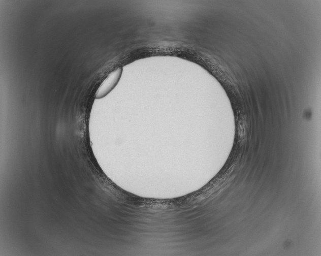 X0000116311204201001111131