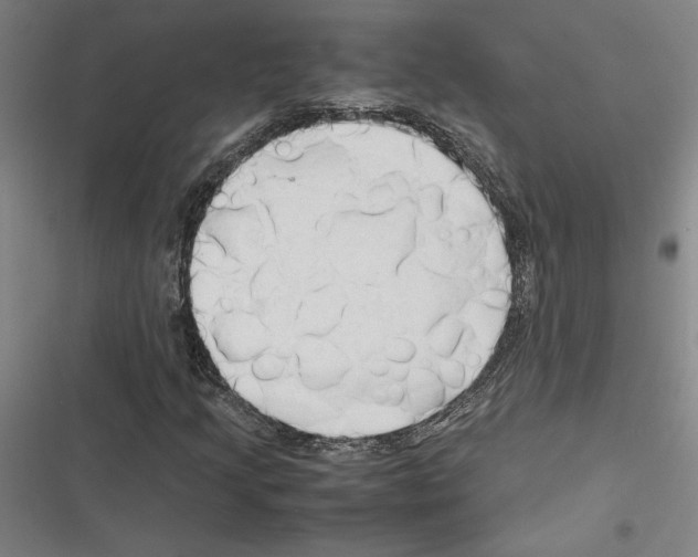 X0000116311205201001111131