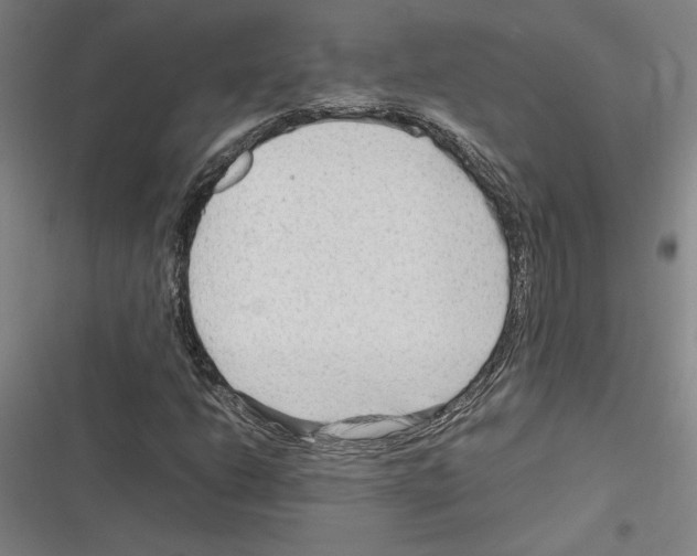 X0000116311206201001111131