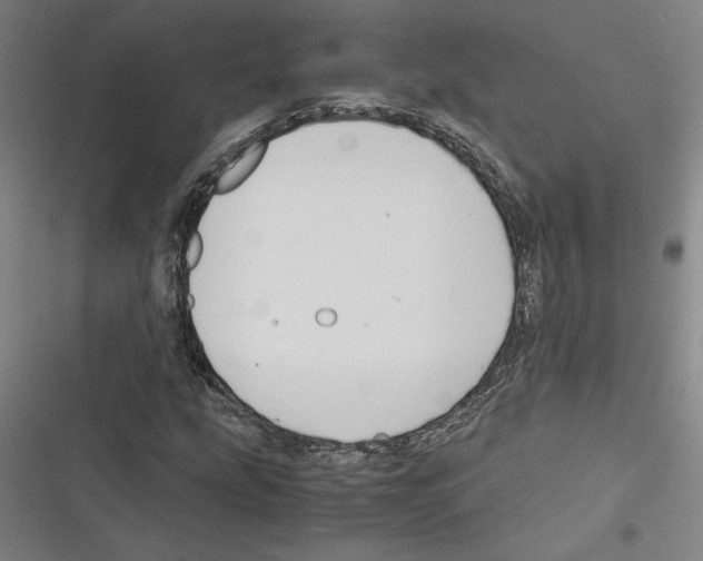 X0000116311207201001111131