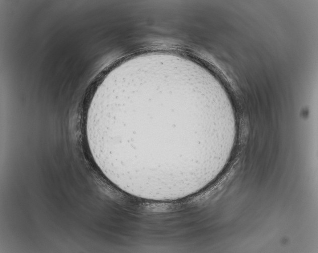 X0000116311211201001111131