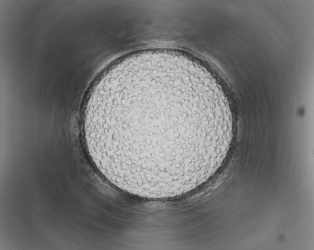 X0000116311212201001111131