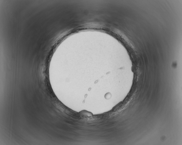 X0000116311213201001111131