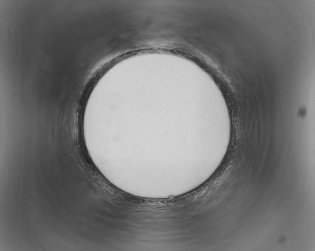 X0000116311214201001111131