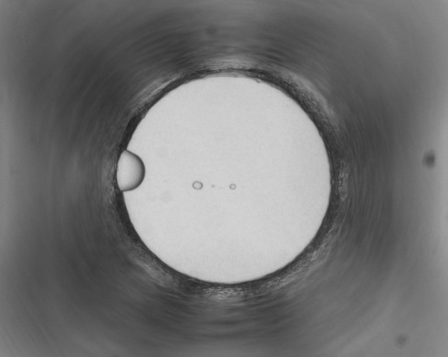 X0000116311217201001111131