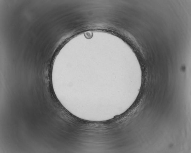 X0000116311218201001111131