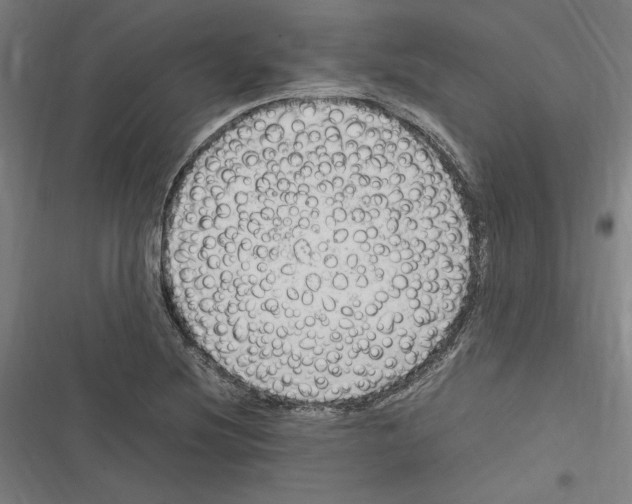 X0000116311220201001111131