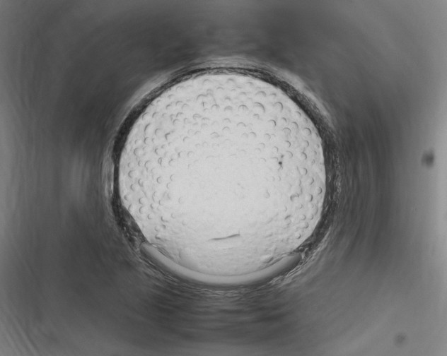 X0000116311221201001111131