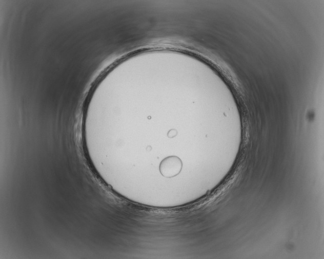 X0000116311224201001111131