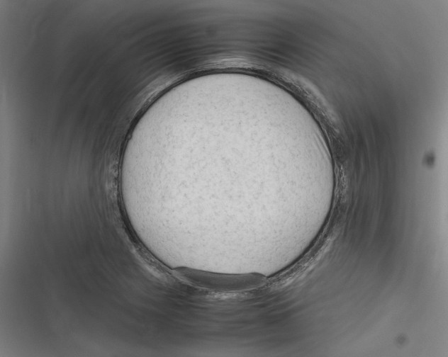 X0000116311225201001111131