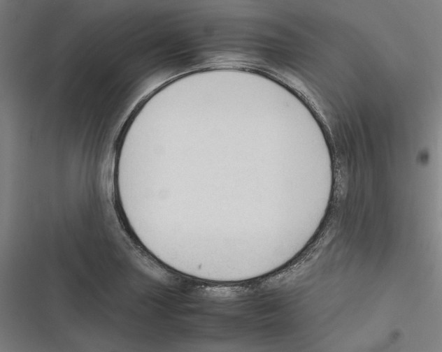 X0000116311227201001111131