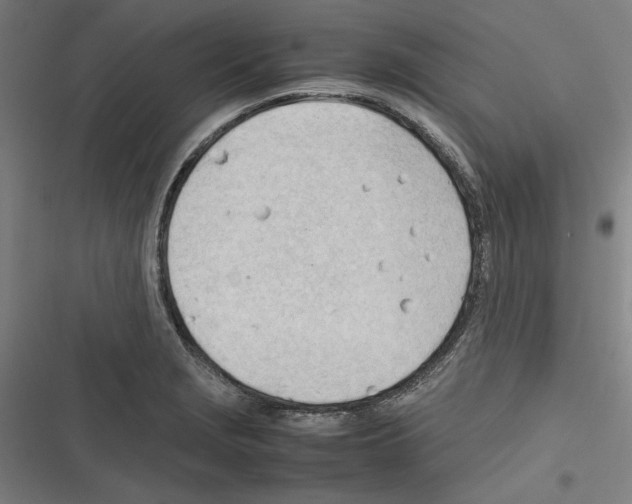 X0000116311229201001111131