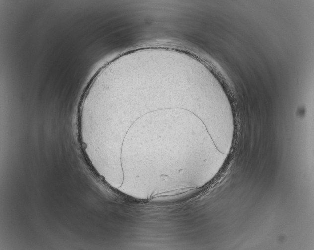 X0000116311230201001111131