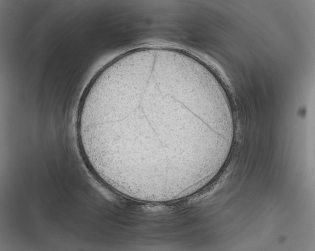 X0000116311231201001111131